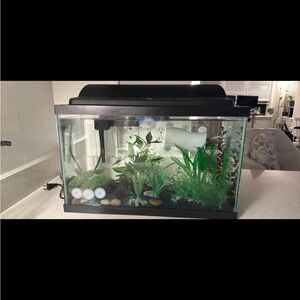 10-gallon fish tank with various supplies